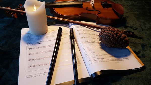 Irish Flute und Tin Whistle lernen in der B&B Musikschule Berlin Schöneberg